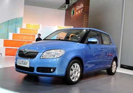 低保養費 五款配正時鏈條的家用小車