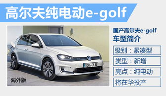 大眾1月份在華銷量大漲 全球占比超半數